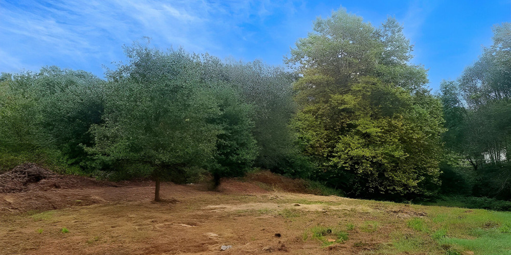 terrain à ST MARTIN DE HINX (40390)